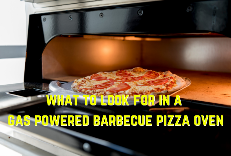 Don’t Miss out These 2 Aspects Before Buying a Gas-powered Barbeque Pizza Oven