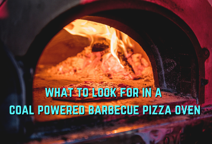 Don’t Miss out These 2 Aspects Before Buying a Coal-powered Barbeque Pizza Oven